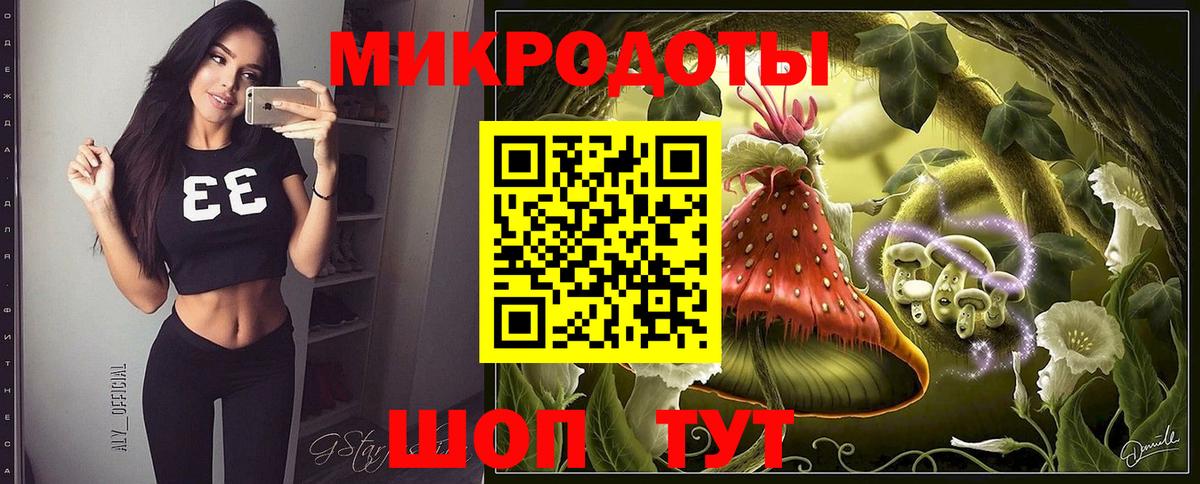 Бошки Шишки Ишим